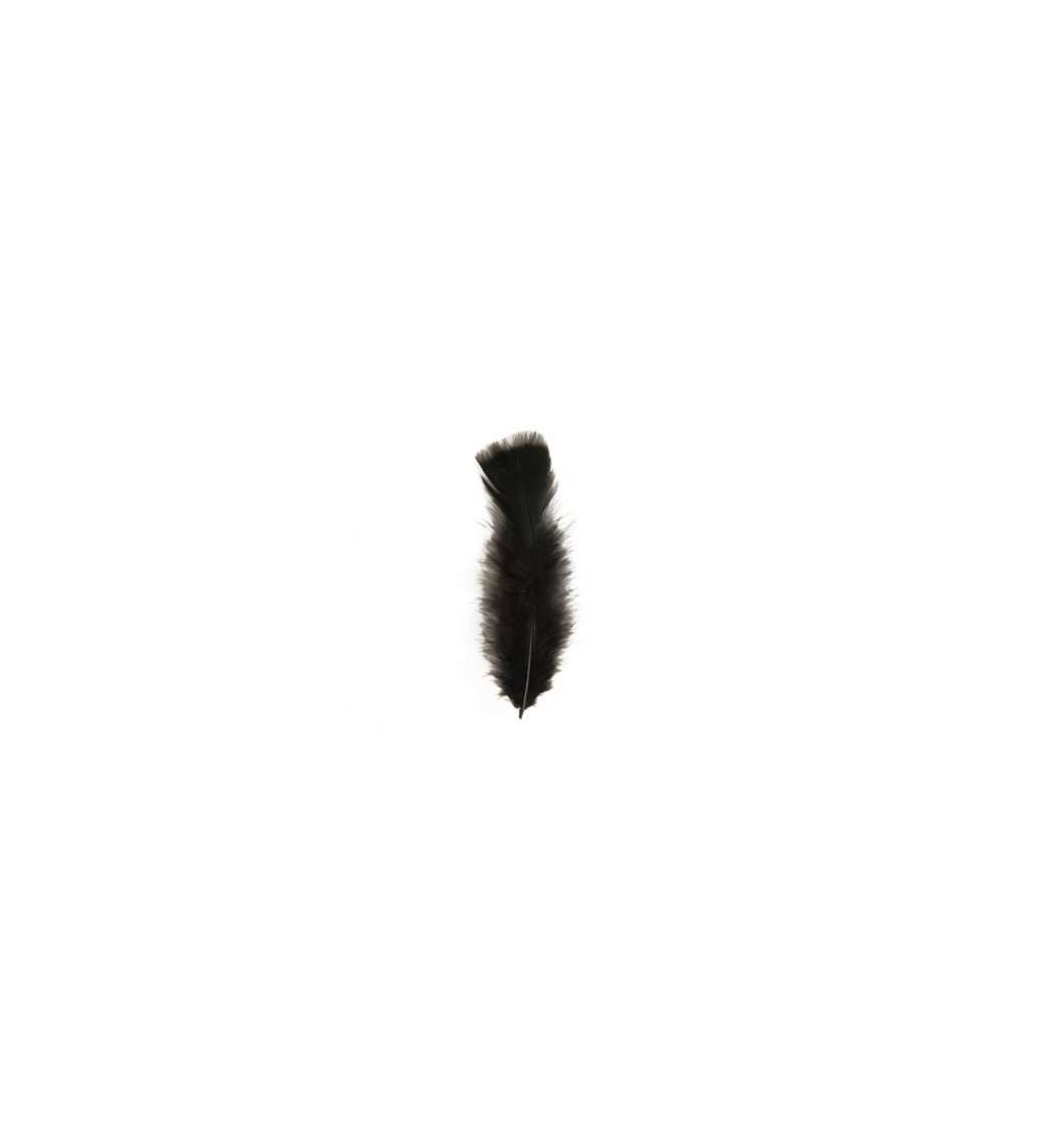 Peříčko černé (10cm)