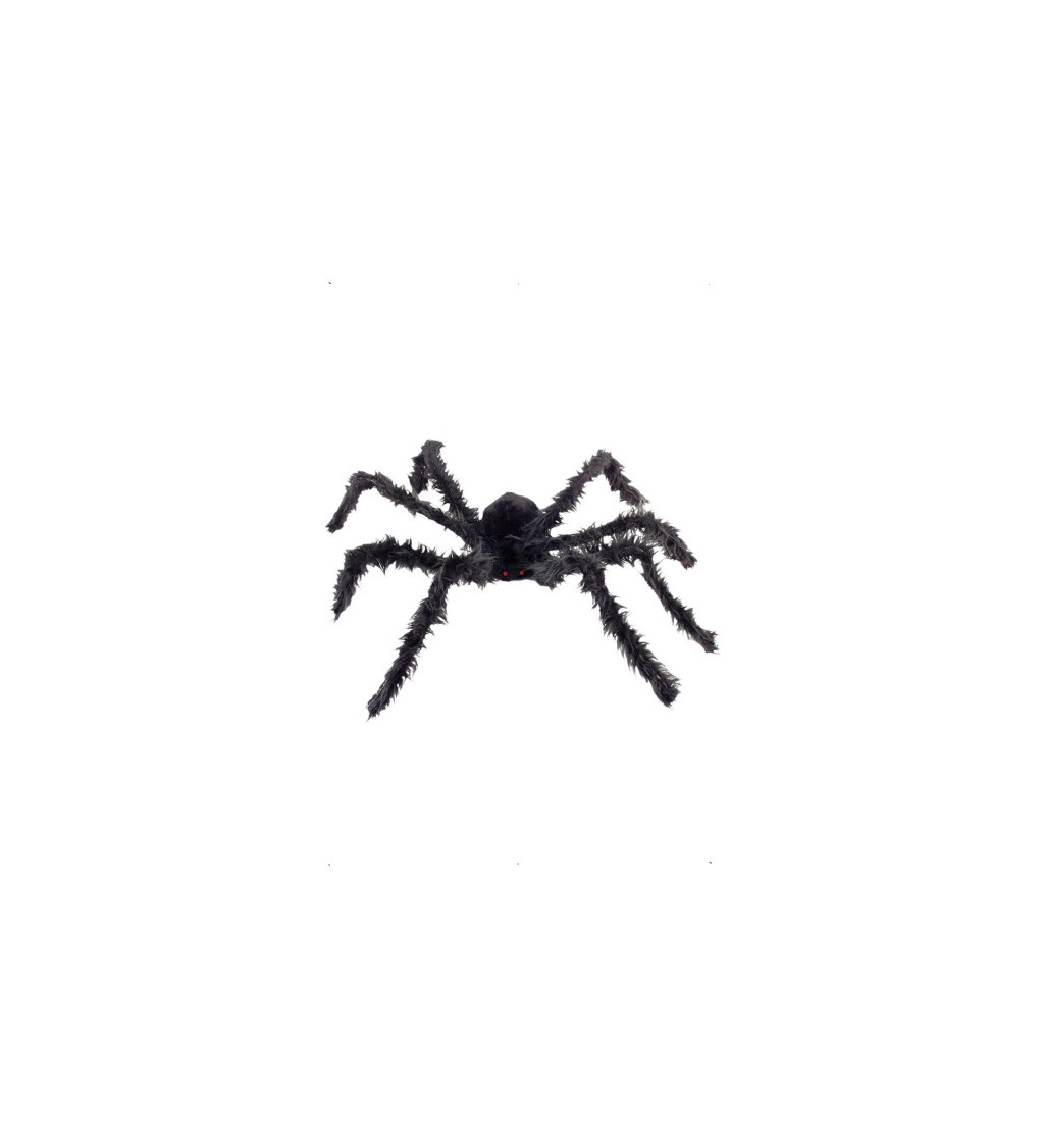 Černý obrovský pavouk