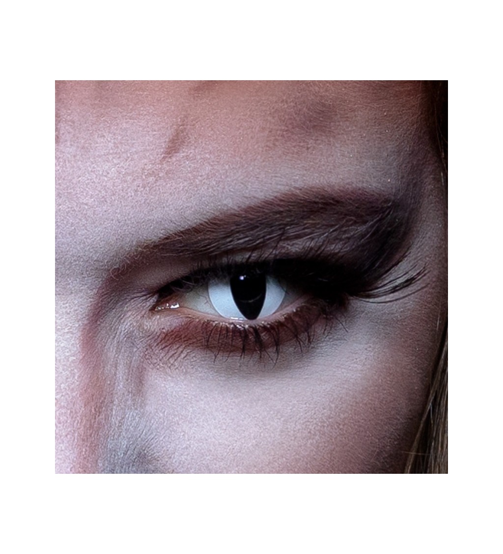 Kontaktní čočky - kočka