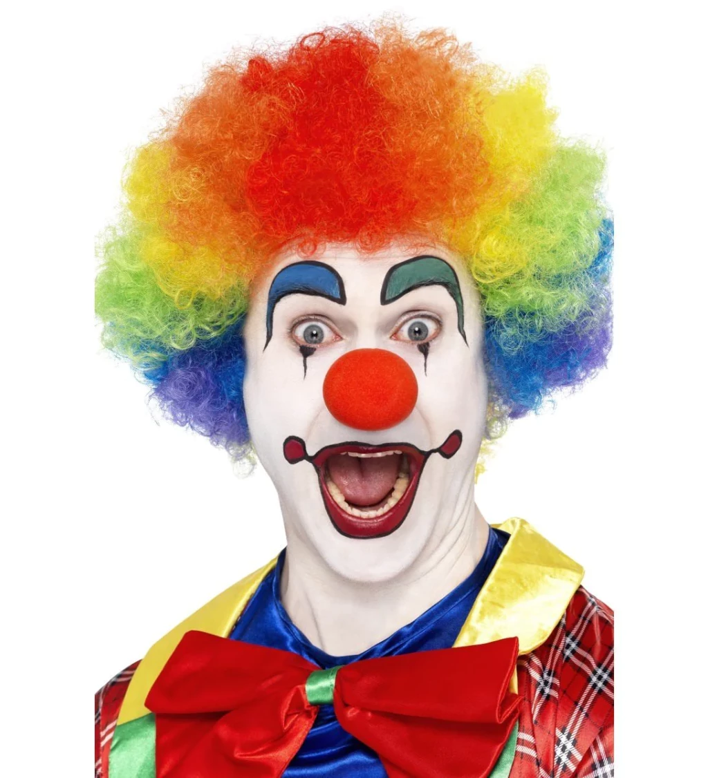 Paruka - Afro, pestrobarevné